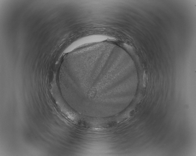 X0000078870750200611271300
