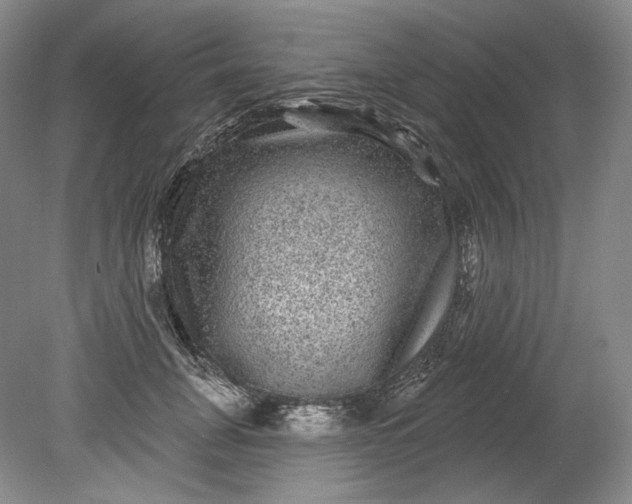 X0000078870751200611271300