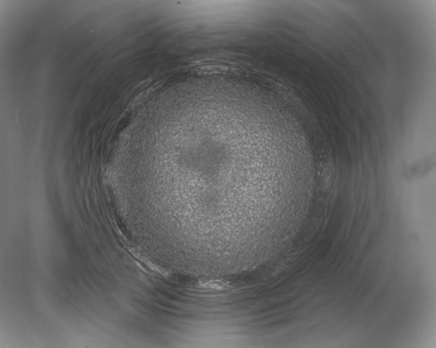 X0000078870753200611271300