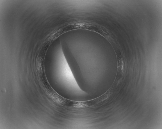 X0000078870754200611271300