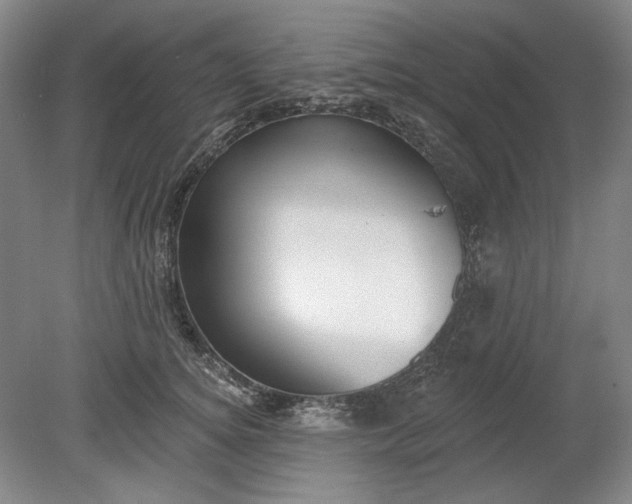 X0000078870756200611271300