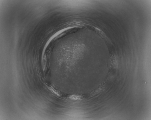 X0000078870762200611271301