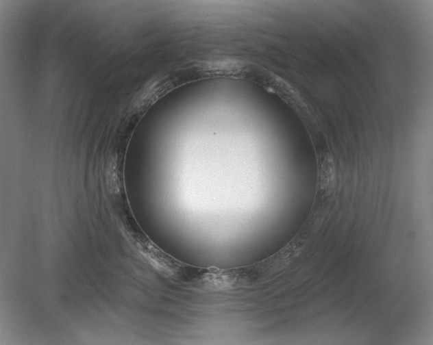 X0000078870764200611271301