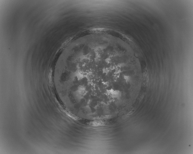 X0000078870765200611271301