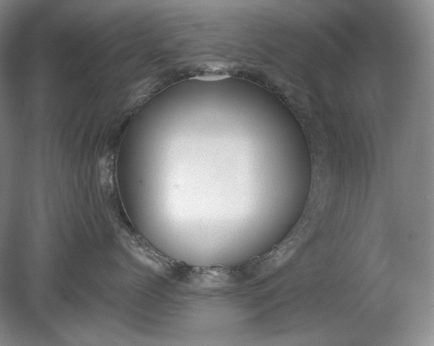 X0000078870768200611271301