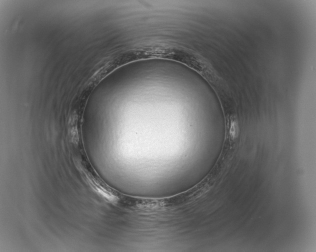 X0000078870771200611271300