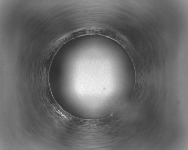 X0000078870773200611271300