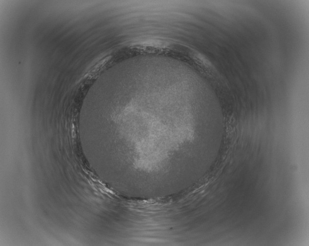 X0000078870774200611271300