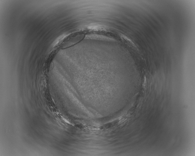 X0000078870776200611271300