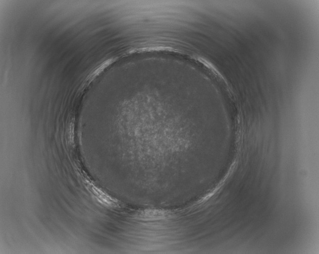 X0000078870777200611271300