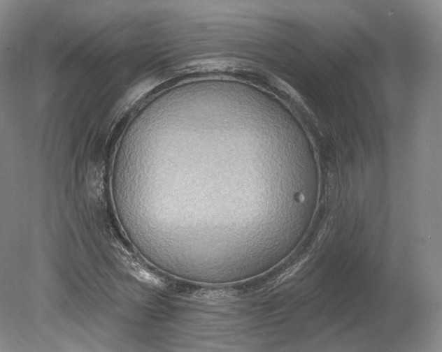 X0000078870778200611271300