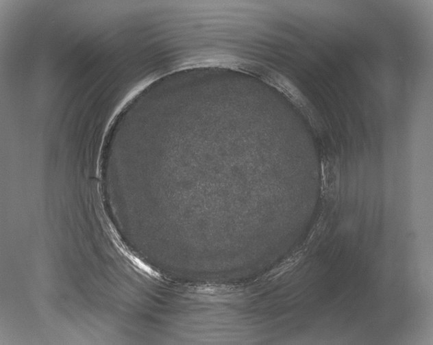 X0000078870780200611271300