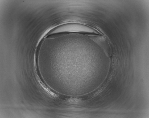 X0000078870788200611271300