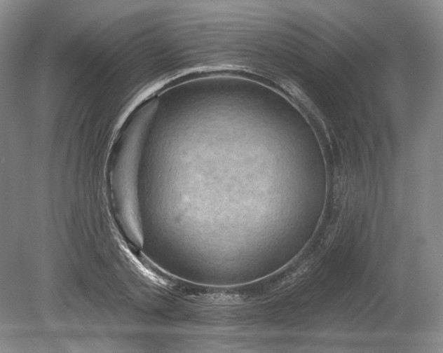 X0000078870789200611271259