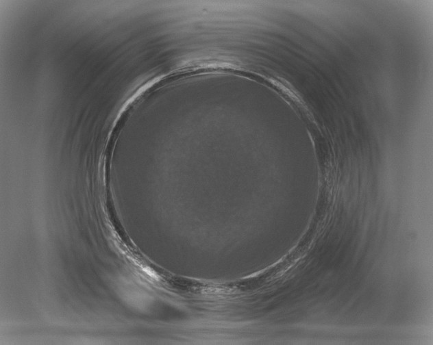 X0000078870790200611271259