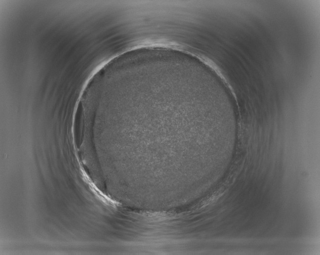 X0000078870791200611271259