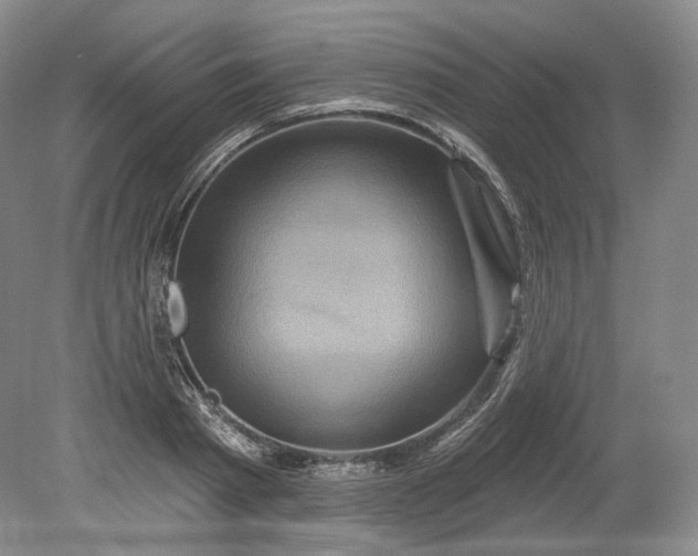 X0000078870793200611271259
