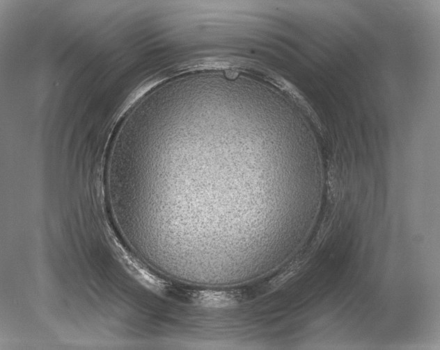 X0000078870794200611271259