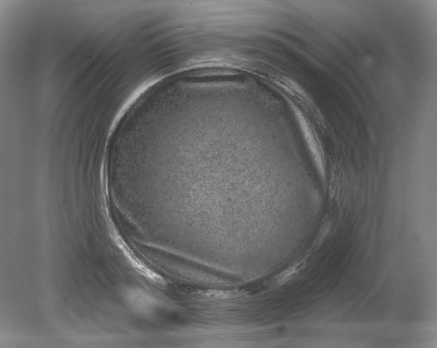 X0000078870796200611271259