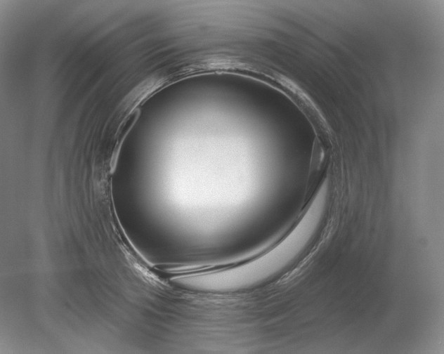 X0000078870801200611271259