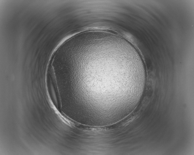 X0000078870803200611271259