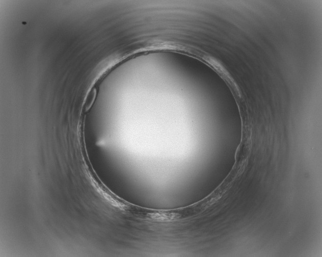 X0000078870805200611271259