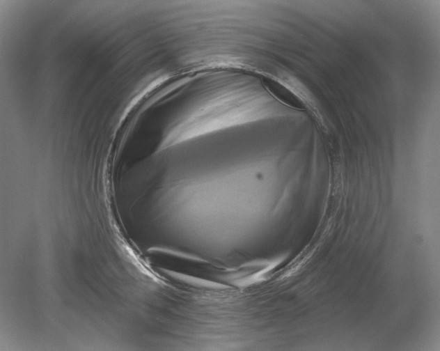 X0000078870806200611271259