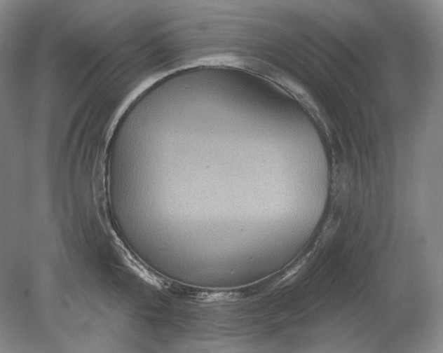 X0000078870808200611271259