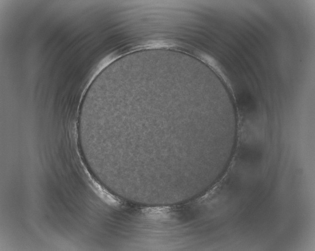 X0000078870810200611271259