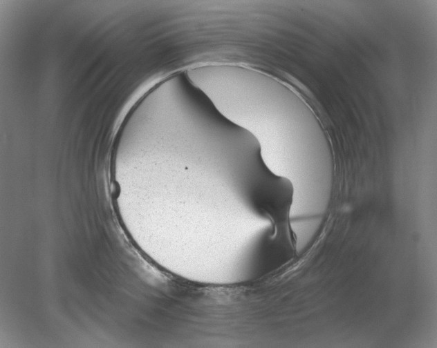 X0000078870812200611271259