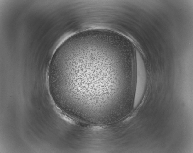 X0000078870814200611271259