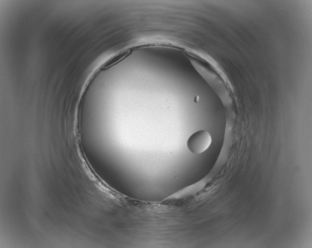 X0000078870815200611271259