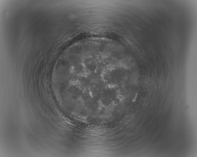 X0000078870817200611271258