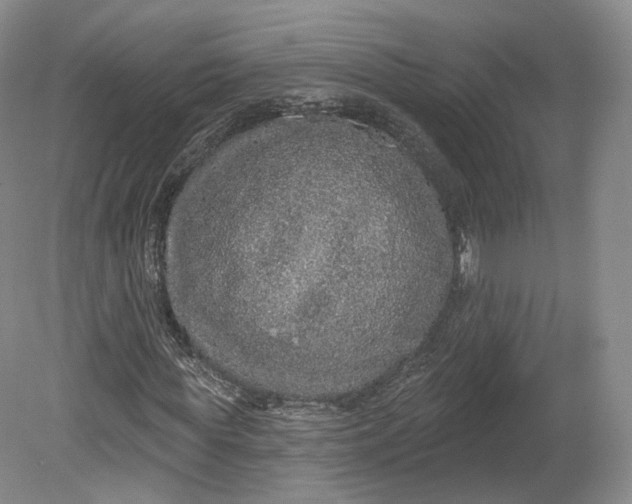X0000078870819200611271258