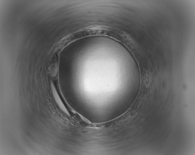 X0000078870821200611271258