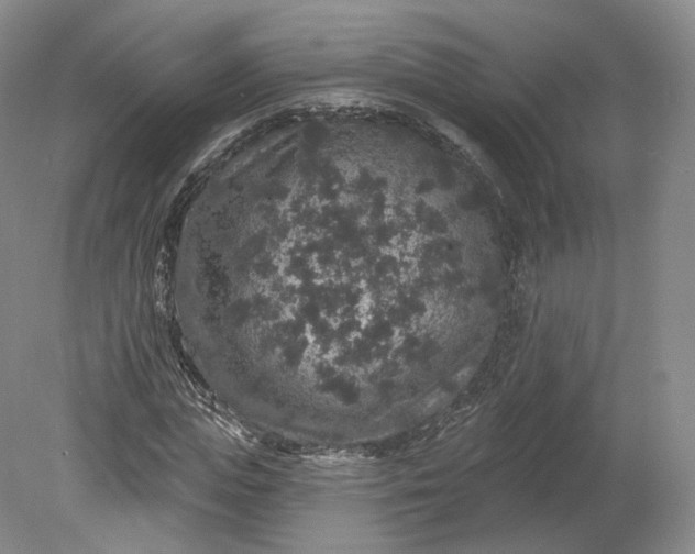 X0000078870823200611271258
