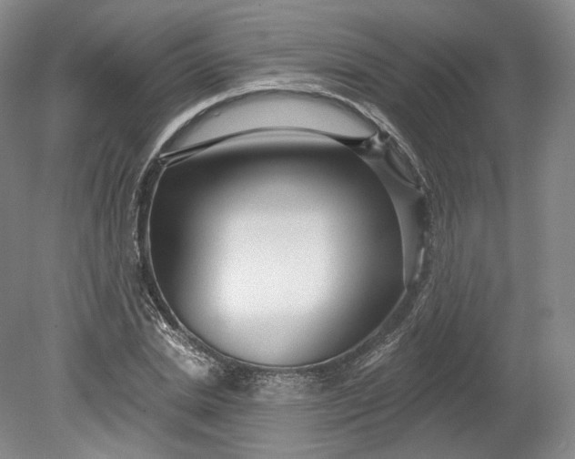 X0000078870830200611271258