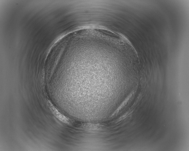 X0000078870831200611271258