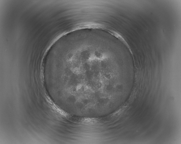 X0000078870835200611271259