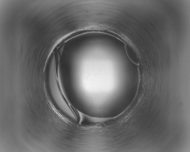 X0000078870838200611271259