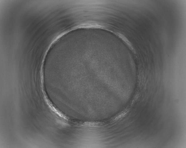 X0000078870840200611271259