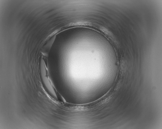 X0000078870841200611271259