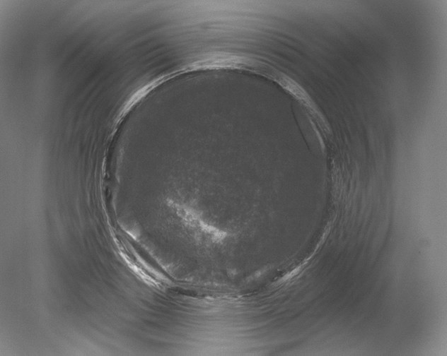 X0000078870842200611271259