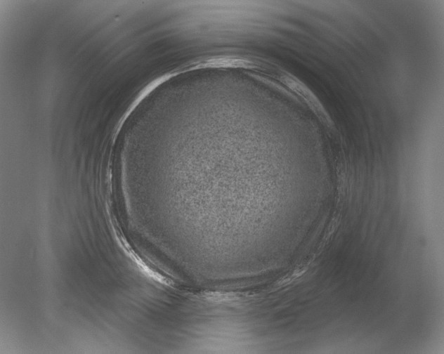 X0000078870852200611271259