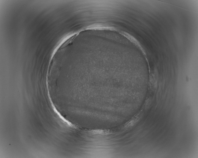 X0000078870855200611271259