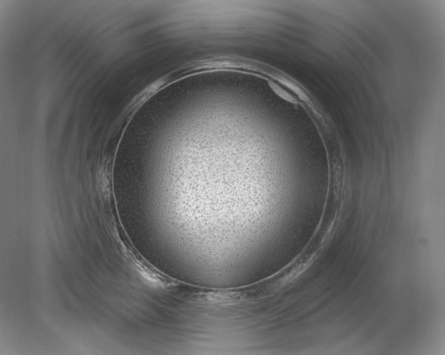 X0000078870857200611271259