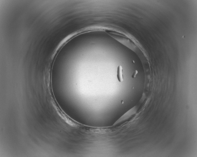 X0000078870862200611271259