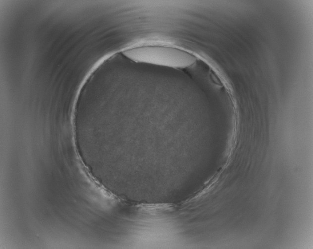 X0000078870864200611271259