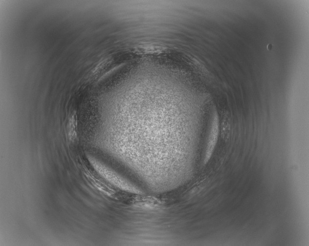 X0000078870866200611271258