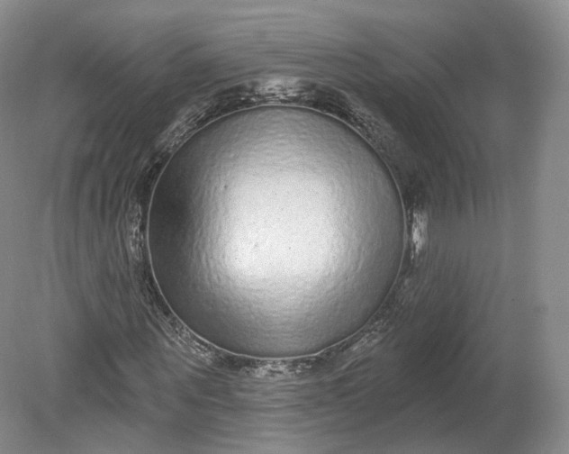 X0000078870867200611271258